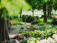Kew Gardens – A Living Tapestry of Global Botany in London