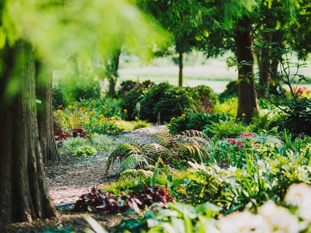 Kew Gardens – A Living Tapestry of Global Botany in London