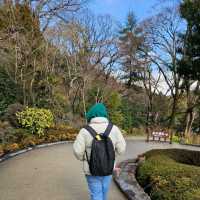 วัดคัตสึโอจิ (Katsuo-ji Temple) วัดแห่งชัยชนะของสา