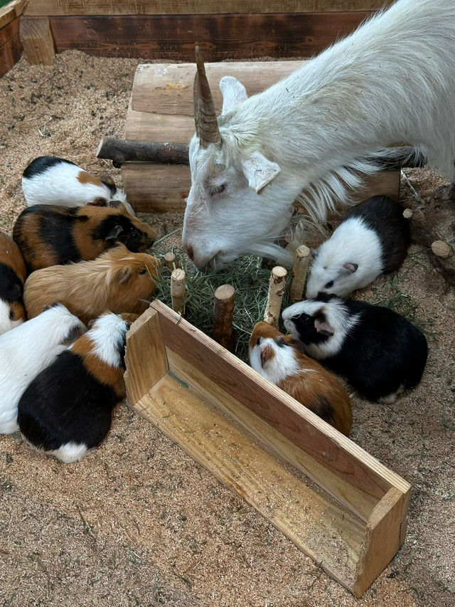 長崎Bio park- 教育與感動兼具的動物園