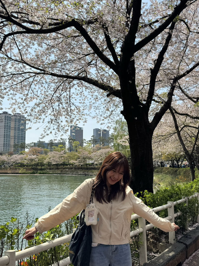 ชมวิวพ็อตกตที่มุมทะเลสาบ seokchon lake😍