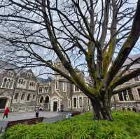 Christchurch’s Creative Playground: The Arts Centre Magic