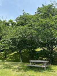 🌿長野・アルプス公園（松本市）｜家族で楽しめる広大な自然と遊びのスポット 