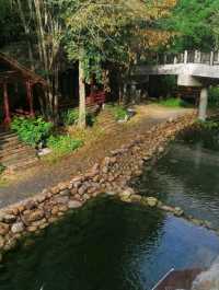 🍃✨ Philea Resort & Spa Melaka – Sleep in a Wooden Wonderland! 🏡🌿
