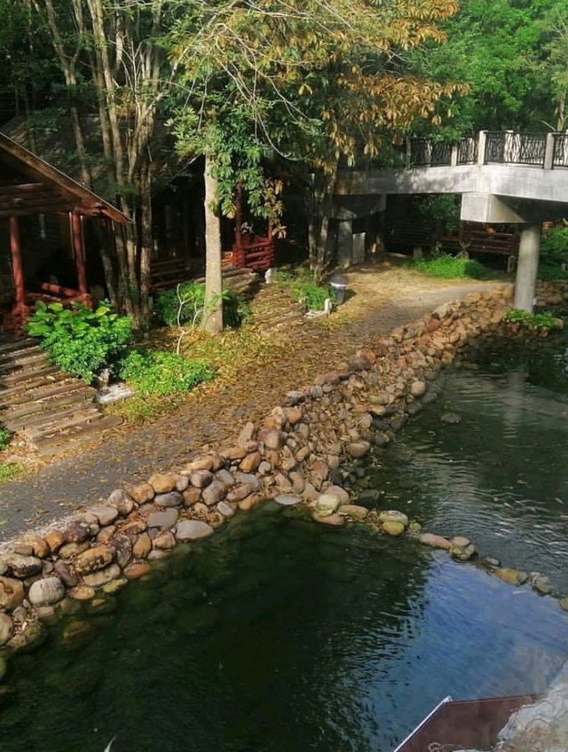 🍃✨ Philea Resort & Spa Melaka – Sleep in a Wooden Wonderland! 🏡🌿