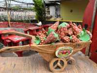 🍓Not Just Strawberries — Big Strawberry Farm, Cameron Highlands
