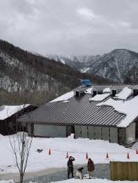 Shinhotaka Ropeway – กระเช้าลอยฟ้าสู่เทือกเขาแอลป์