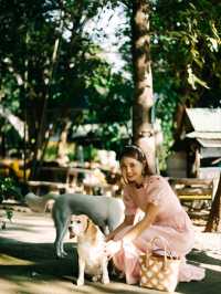 วัดอุโมงค์ สวนพุทธธรรม เชียงใหม่