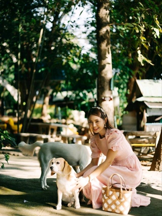 วัดอุโมงค์ สวนพุทธธรรม เชียงใหม่