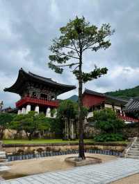 Temple Tranquility at Hwaeomsa