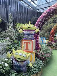 สวนดอกไม้ที่สิงคโปร์