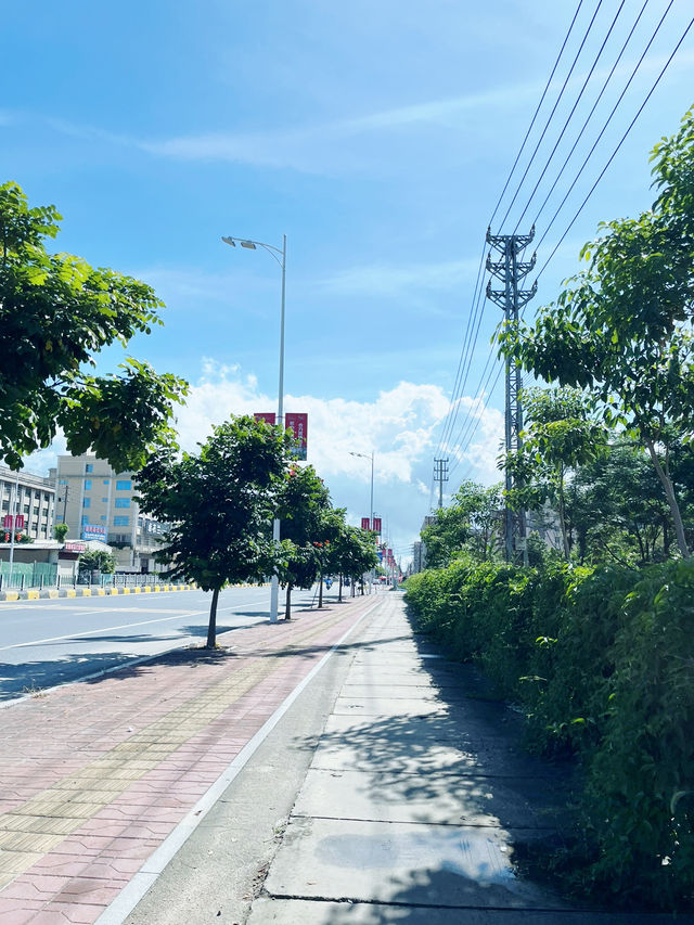 汕头陈店镇