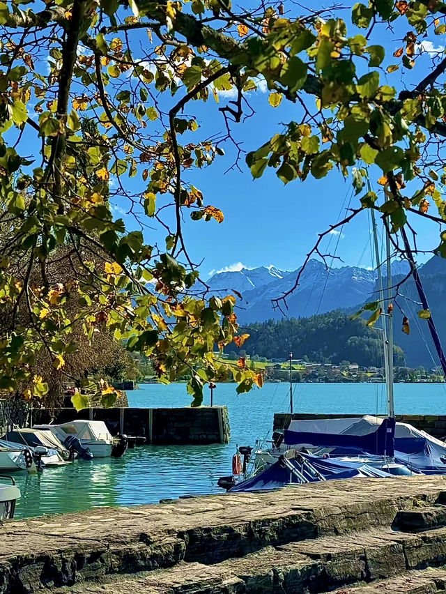 สวิตเซอร์แลนด์🇨🇭