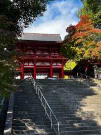 【時を司る神社⛩️】近江神宮で歴史とカルタの聖地巡礼✨