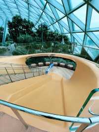 “THRILLING FUN AT THE DISCOVERY SLIDES”