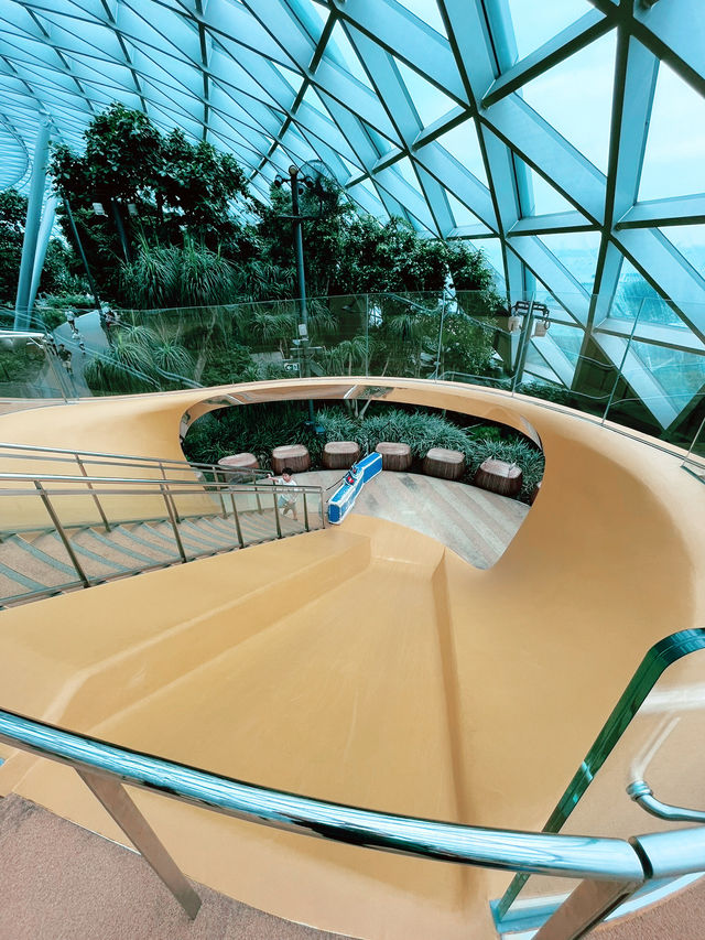 “THRILLING FUN AT THE DISCOVERY SLIDES”