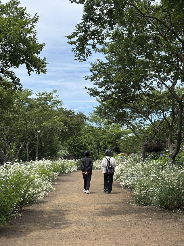제주 여름 가볼만한곳 송당 동화마을