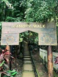 KL Eco Forest Park & Canopy Walk: A Green Escape in the City