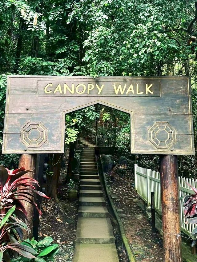 KL Eco Forest Park & Canopy Walk: A Green Escape in the City