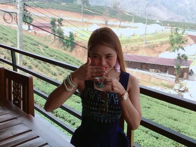 ไร่ชา 101 ดอยแม่สลอง