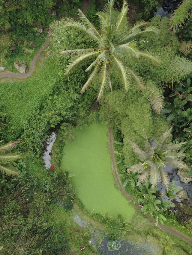 Don’t just stay in Ubud. Use it as a base camp to explore 🤩