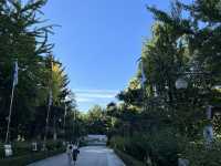 首爾必拍行程全攻略｜景福宮穿韓服、Jennie香水牆、秘密野花園一日拍爆10張大片！ 