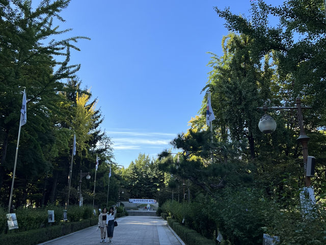 首爾必拍行程全攻略｜景福宮穿韓服、Jennie香水牆、秘密野花園一日拍爆10張大片！ 