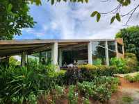 Bucolic KhaoYai คาเฟ่วิวเขาสวย🌱⛰️