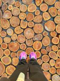 Golden Hour & Glistening Forehead – Briskwalk Diaries at Central Park IOI Putrajaya 