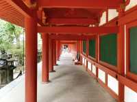 Nara City Walk: A Day of Deer and Wanderlust! 🦌🚶‍♀️