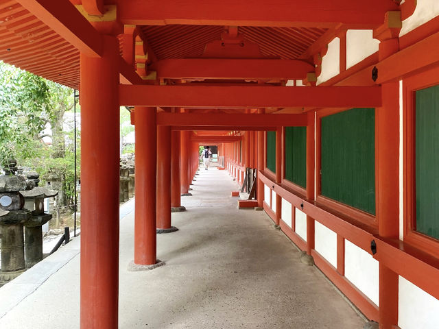 Nara City Walk: A Day of Deer and Wanderlust! 🦌🚶‍♀️