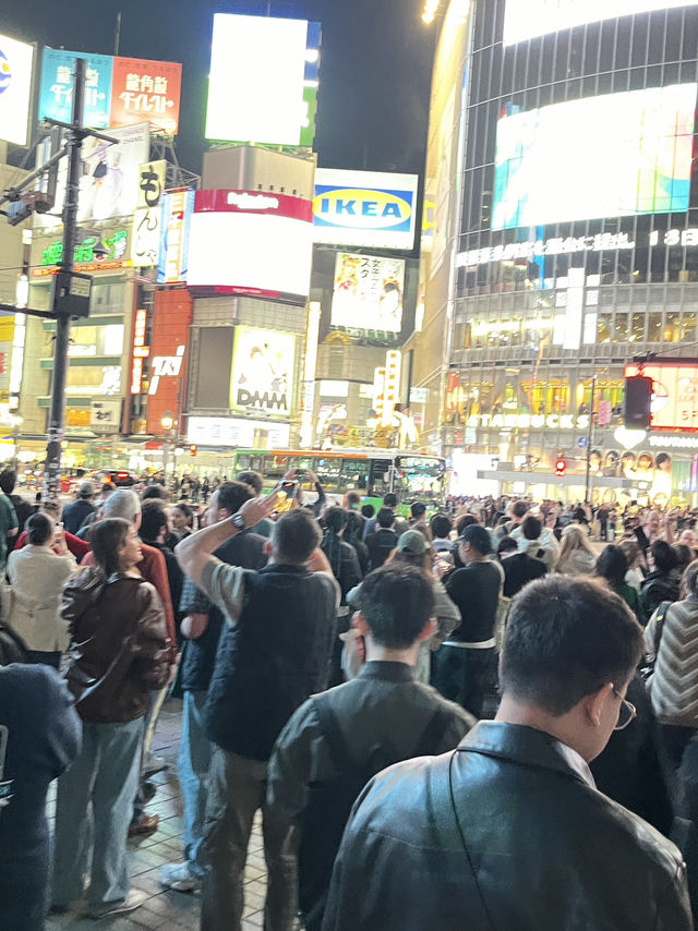 🌆 Tokyo in 3 Iconic Stops: Skyline, Loyalty & Organized Chaos 🐶✨