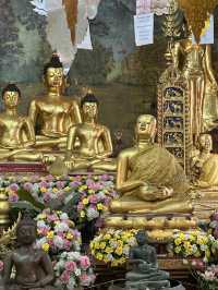 ขอพรที่วัดอุปคุต 