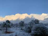 ❄️ Snowflakes at Dawn in Yunnan