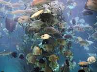 Cebu Ocean Park