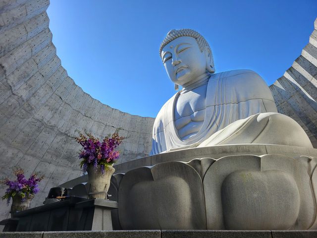 北海道真駒內靈園：薰衣草環繞的巨佛之境
