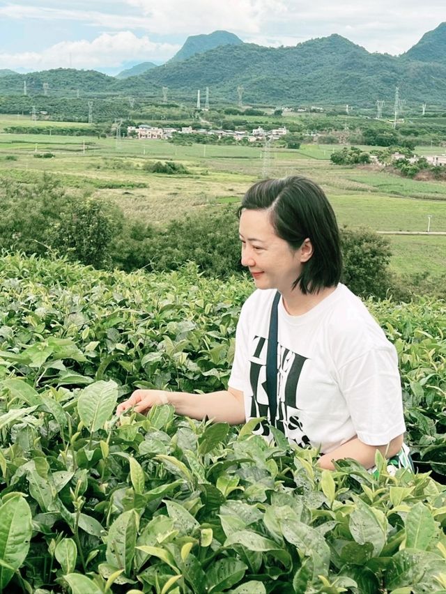 我們是為了大茶壺而來的