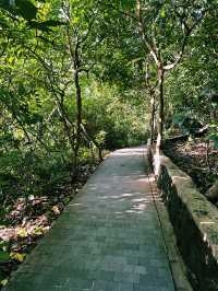 Guardians of the Forest: Ubud Monkey Forest’s Sacred Heart