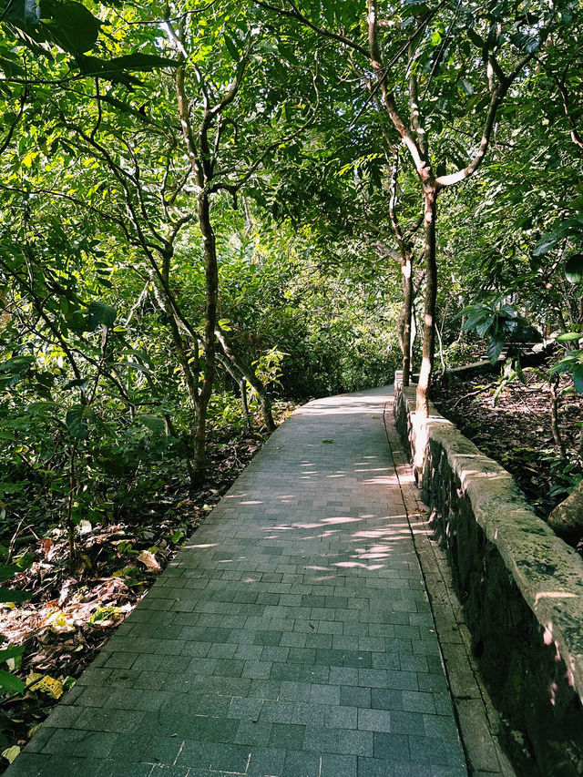 Guardians of the Forest: Ubud Monkey Forest’s Sacred Heart
