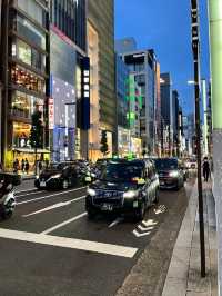 Glamour in Ginza: Tokyo’s Shining Jewel