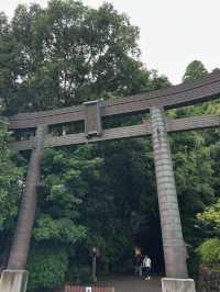 【宮崎】神話と縁結びの聖地⛩️高千穂神社で心を結ぶ旅