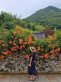아직 늦지 앉았던 남해 능소화맛집🧡