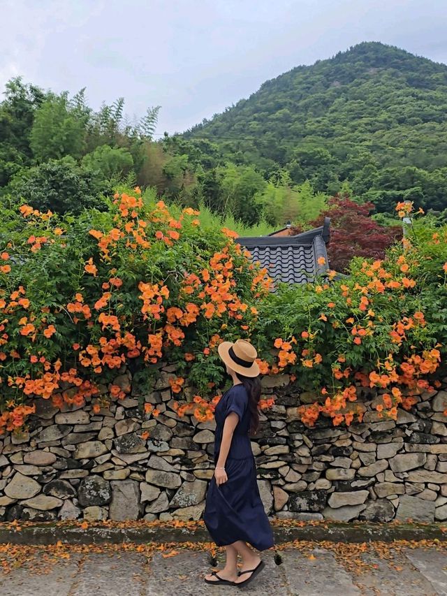 아직 늦지 앉았던 남해 능소화맛집🧡