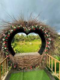 Greens That Breathe: A Morning at Tegallalang