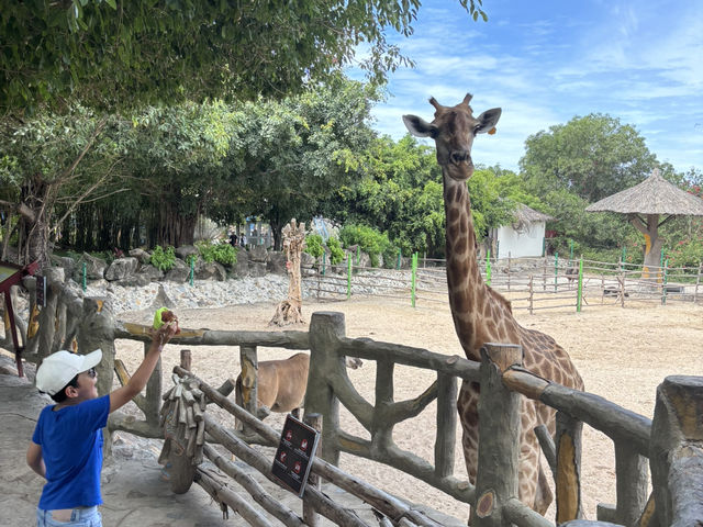 More Than Disneyland, for Less: Why VinWonders Nha Trang Wins the Fun Game