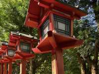 A Sunny Trek to Kifune Shrine: Worth the Walk? ☀️⛩️