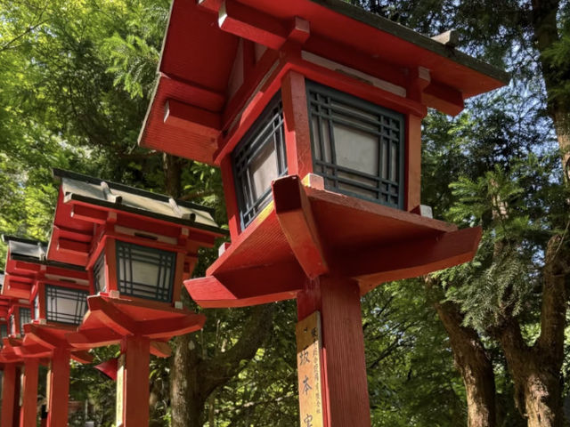 A Sunny Trek to Kifune Shrine: Worth the Walk? ☀️⛩️