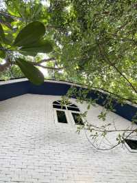  Altitude Café – คาเฟ่บรรยากาศร่มรื่น สไตล์รีสอร์ต