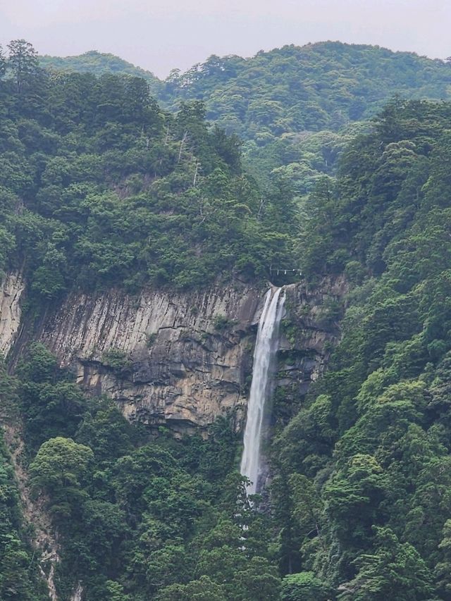 【和歌山グルメ】那智の滝名物・お食事処かいはみ