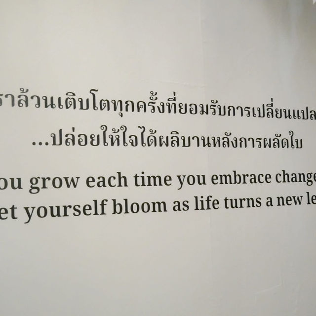 คุณกลัวความแก่ไหม?